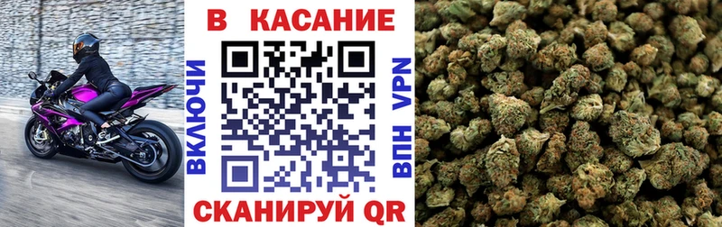  COCAIN Звенигород